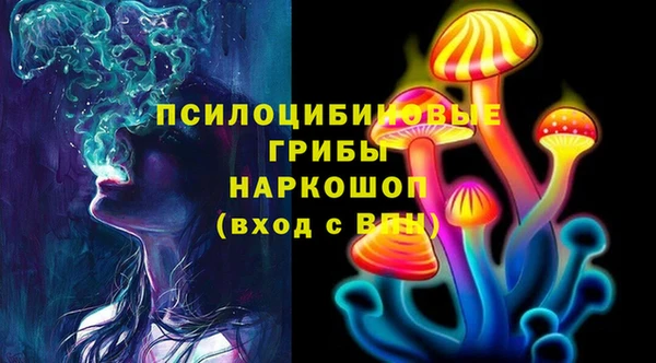 соль курить ск Арсеньев