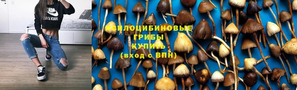 соль курить ск Арсеньев